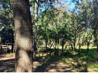 Vendo Terreno 15HA 8.800m2 en Zona Industrial en Limpio Salado, a USD 12 m