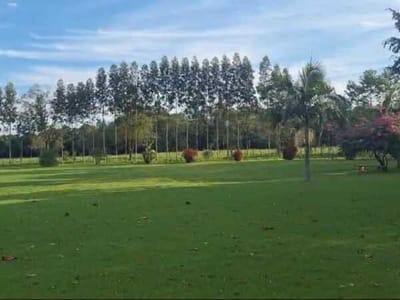 EN VENTA 14 HECTAREAS EN HERNANDARIAS