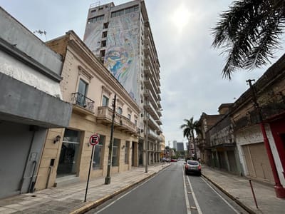 VENDO PROPIEDAD SOBRE LA CALLE PALMA  CASI COLON