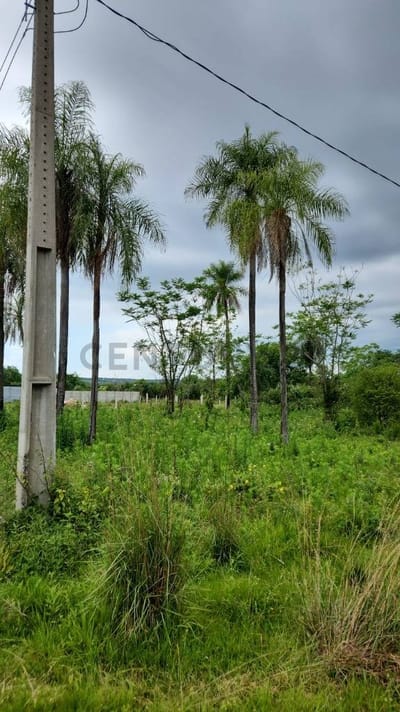 Vendo terreno en Ciervo Cua - San Bernardino