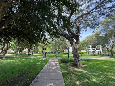 LINDA CASA ZONA DE PARQUES