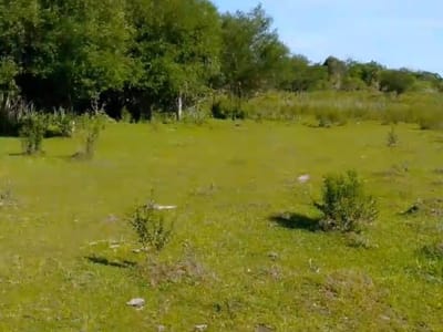 VENDO CAMPO EN CAAZAPA MI - VILLARRICA 20 HECTAREAS
