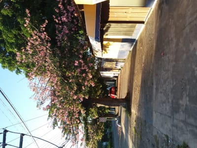 EN VENTA CASA COMO TERRENO EN ESQUINA – ZONA ESTRATEGICA EN SANTA CRUZ