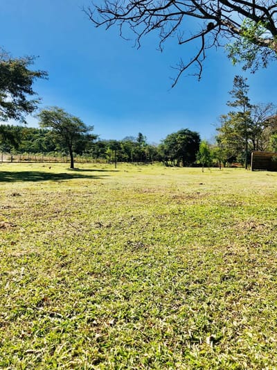 VENDO TERRENO EN CORONEL OVIEDO 