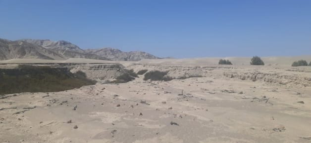 Terreno Eriazo de 1,431 Ha para agroindustria o energía Eólica en Santiago, Ica