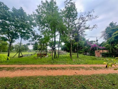 VENDO TERRENO EN SAN BERNARDINO