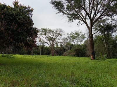 En venta terreno en Quinta Belvedere de Atyra