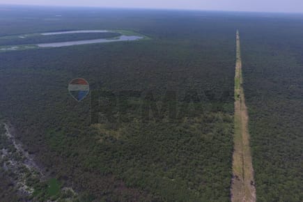 VENDO CAMPO VIRGEN EN CHACO PUERTO PINASCO 5000 HAS