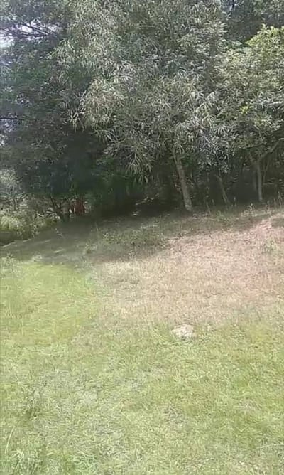 Vendo hermosa propiedad con arroyo en Paraguarí