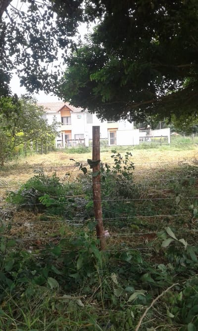 Terrenos en Cotoca