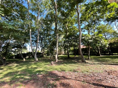 TERRENO EN VENTA -COLINAS DEL URUBO SECTOR 2 EL BOSQUE