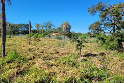VENDO TERRENO EN EMBOSCADA GS. 55.000.000
