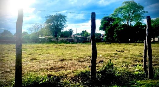 Mariano Roque Alonso Media hectárea Oportunidad