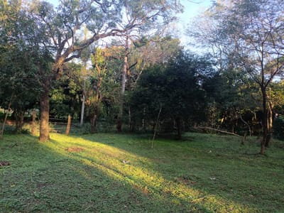 VENDO TERRENO DE 7708M2 EN CAACUPE