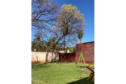 Importante terreno en esquina fndo norte