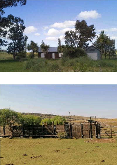 Campo sobre Ruta 9