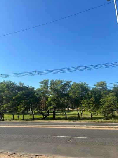 EN VENTA AMPLIO TERRENO SOBRE RUTA TRANSCHACO, LOMA PYTA