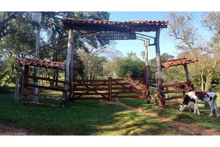 Finca Agrícola - Venta - Caacupé, Cordillera, Paraguay