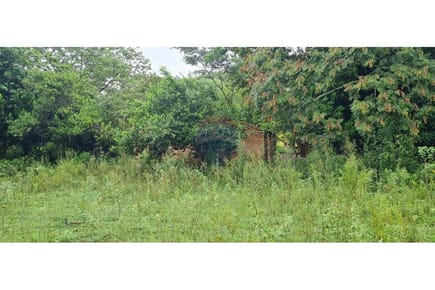 VENDO LINDO TERRENO EN YAGUARON 