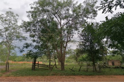 VENTA DE TERRENO RUTA MCAL ESTIGARRIBIA - SAN IGNACIO