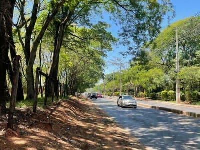 VENDO 6 HECTÁREAS CON 3059 m2 EN CIUDAD DE SAN ANTONIO