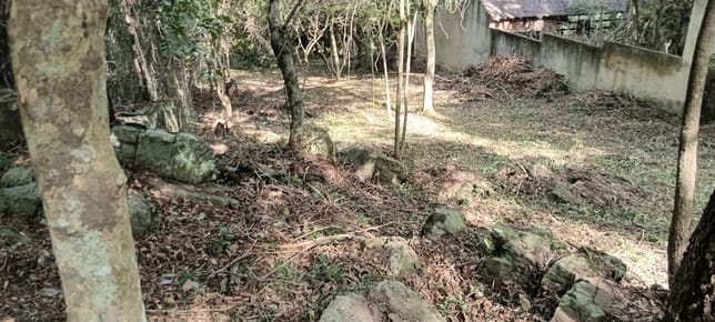 EN VENTA TERRENO EN ISLA ALTA NUEVA COLOMBIA