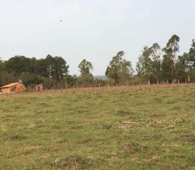 VENDO 2 TERRENOS en EL COTIJO ! SAN BER 