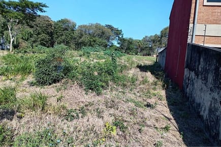 En Venta Terreno Fernando 