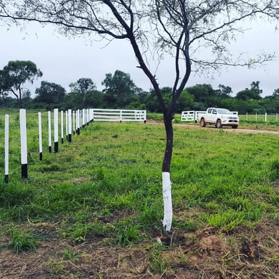 BARBERO AGRONEGOCIOS VENDE 3 CRUCES