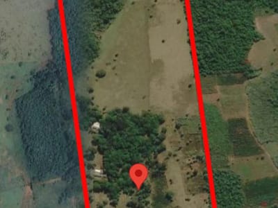 VENDO CAMPO DE 20 H., EN CORPUS CRISTHI CANINDEYU