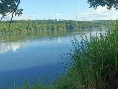 TERRENO EN VENTA – 70 HAS SOBRE EL RÍO PARANÁ  DISTRITO CAPITÁN MEZA – ITAPÚA