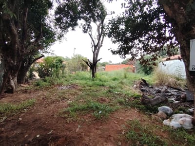 VENDO TERRENO LAURELTY - LUQUE