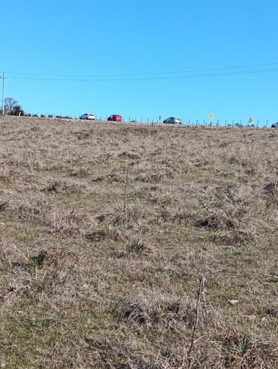 Venta de 67 hectáreas Productivas en Pueblo Edén