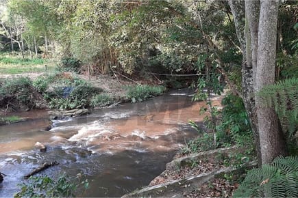TERRENO 8 HECTAREAS VENTA ZONA DE CAACUPE