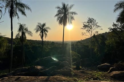 Terreno de 3,5 Hectáreas en Venta en Altos – A 60 m de Ruta San Bernardino