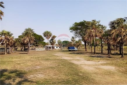 Estancia/Campo - Venta - Villa Hayes, Paraguay