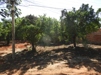OFERTA DE TERRENO EN LUQUE 