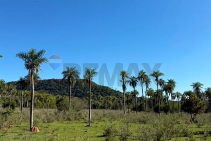 VENDO 23.956 M2 EN CAACUPE