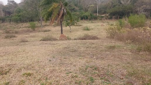    Urubo a 12mn Del Puente Foianini,  Hermoso  Terreno  800m2  en condominio 