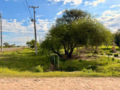 EN VENTA Terreno de 13,88 hectáreas sobre ruta en CHACO´I