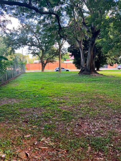 EN VENTA 2 TERRENOS EN PILAR DEL ESTE YPANE