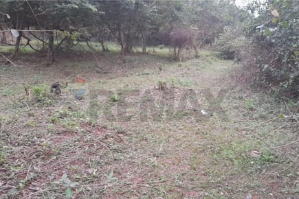 Terreno - Venta - Itá, Central, Paraguay