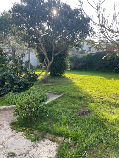 Venta Terreno En Malvin  Ideal Desarrolladores