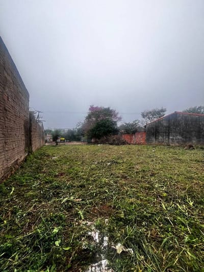 Importante propiedad sobre la Avda. E. Von Polesky en la Ciudad de Villa Elisa