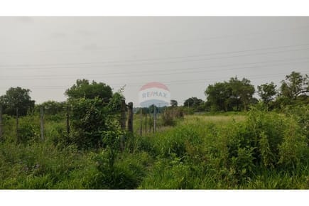 VENDO TERRENO EN LIMPIO 4.7 HECTAREAS