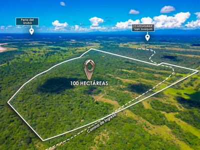 En Venta | Terreno apto para sembradio y ganaderia al norte de Santa Cruz