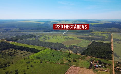 GRAN INVERSION DE 220 HECTAREAS EN PUNTA SUERTE SAN ESTANISLAO