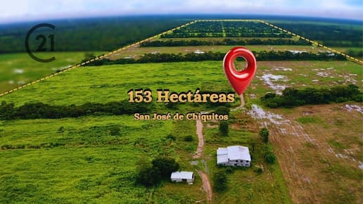 PROPIEDAD AGRICOLA GANADERA, 153 HECT.