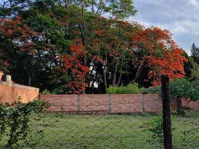 VENDO TERRENO DE 455 M2 EN CAPIATÁ
