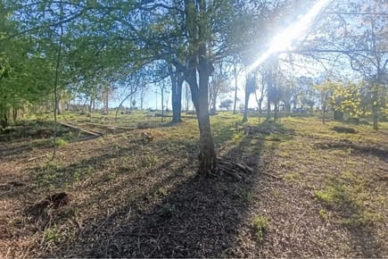 VENDO TERRENO EN HERNANDARIAS
